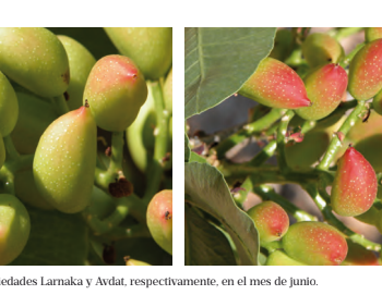 Imagen de la Revista Agricultura de Editorial Agrícola de Mayo 2017